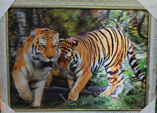 Tiger Photo 3D with Frame